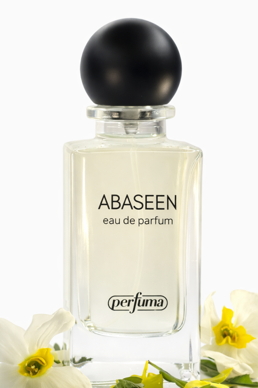 ABASEEN - EDP