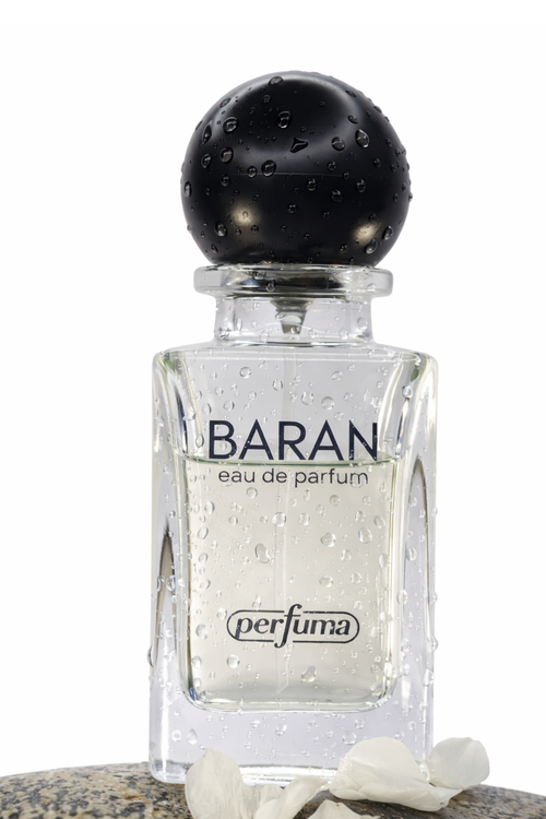 BARAN - EDP